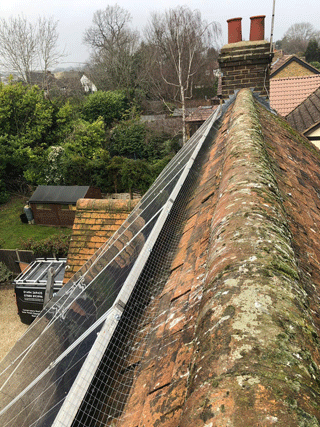 Solar Panel Pigeon Guard