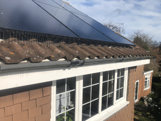 Solar Panel Pigeon Guard